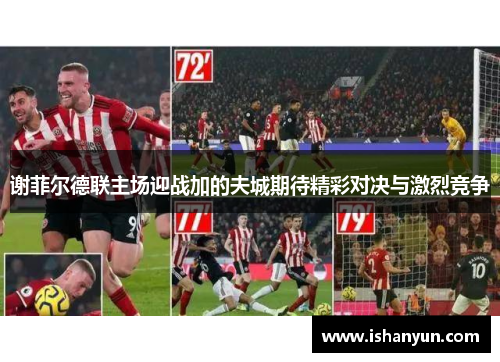 谢菲尔德联主场迎战加的夫城期待精彩对决与激烈竞争